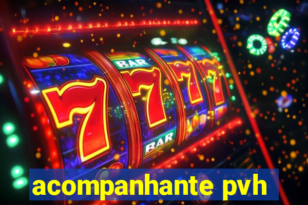 acompanhante pvh